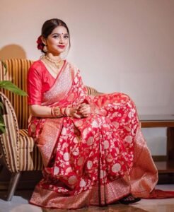 Best Bridal Banarasi Saree for Wedding-red with zari border pallu